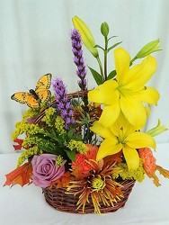 Autumn Bliss and Butterflies from local Myrtle Beach florist, Bright & Beautiful Flowers