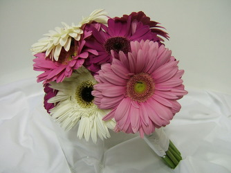 Gerbera Daisies 17 from local Myrtle Beach florist, Bright & Beautiful Flowers