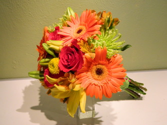 Gerbera Daisies 19 from local Myrtle Beach florist, Bright & Beautiful Flowers