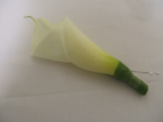 Lg. Calla Lily Boutonniere from local Myrtle Beach florist, Bright & Beautiful Flowers