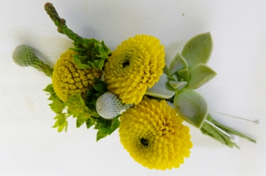 Button mum and Succulent Boutonniere from local Myrtle Beach florist, Bright & Beautiful Flowers