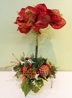 Christmas Amaryllis
