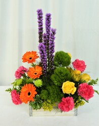 Colorfest  from local Myrtle Beach florist, Bright & Beautiful Flowers