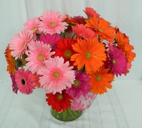 Gerbera Garden from local Myrtle Beach florist, Bright & Beautiful Flowers