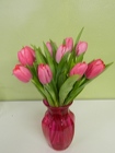 Springtime Tulips
