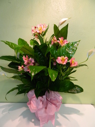 Peace Lilly with Fresh Cut Flowers from local Myrtle Beach florist, Bright & Beautiful Flowers