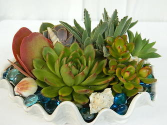 Seaside Succulents from local Myrtle Beach florist, Bright & Beautiful Flowers