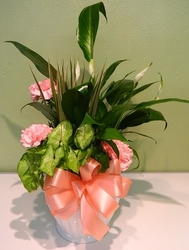 Green and Serene from local Myrtle Beach florist, Bright & Beautiful Flowers