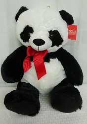 Perfect Panda from local Myrtle Beach florist, Bright & Beautiful Flowers