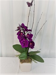 Purple SILK Orchid from local Myrtle Beach florist, Bright & Beautiful Flowers