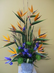 Paradise from local Myrtle Beach florist, Bright & Beautiful Flowers