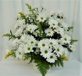 Darling Daisies from local Myrtle Beach florist, Bright & Beautiful Flowers