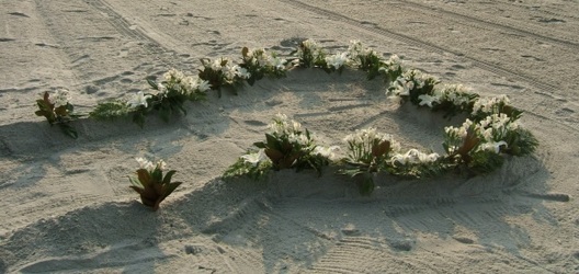 On the Beach 14 with flowering plants from local Myrtle Beach florist, Bright & Beautiful Flowers