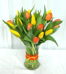 Thankful for Tulips from local Myrtle Beach florist, Bright & Beautiful Flowers