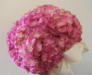 Pink Hydrangeas from local Myrtle Beach florist, Bright & Beautiful Flowers