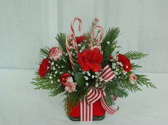 Peppermint Christmas from local Myrtle Beach florist, Bright & Beautiful Flowers