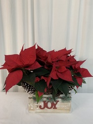 Box of Joy from local Myrtle Beach florist, Bright & Beautiful Flowers