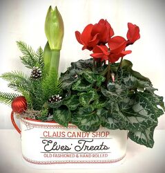 Tin of Treats from local Myrtle Beach florist, Bright & Beautiful Flowers