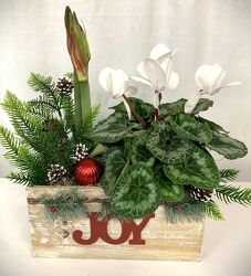 Box of Joy from local Myrtle Beach florist, Bright & Beautiful Flowers