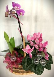 Merry and Bright from local Myrtle Beach florist, Bright & Beautiful Flowers