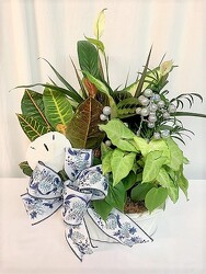 Winter Dish Garden from local Myrtle Beach florist, Bright & Beautiful Flowers