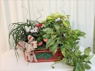 Green Winter Bounty from local Myrtle Beach florist, Bright & Beautiful Flowers