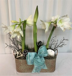 Christmas in Myrtle Beach  from local Myrtle Beach florist, Bright & Beautiful Flowers
