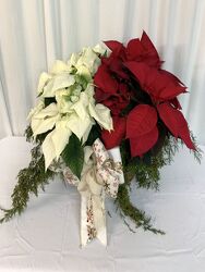Double Poinsettia Basket from local Myrtle Beach florist, Bright & Beautiful Flowers