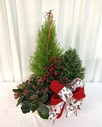 Winter Greens Garden from local Myrtle Beach florist, Bright & Beautiful Flowers