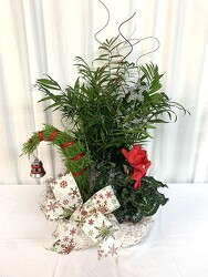 Winter Whimsy Plant Basket from local Myrtle Beach florist, Bright & Beautiful Flowers