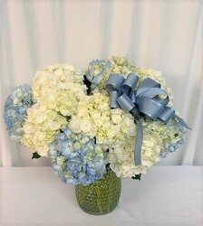 Hydrangea Mania from local Myrtle Beach florist, Bright & Beautiful Flowers