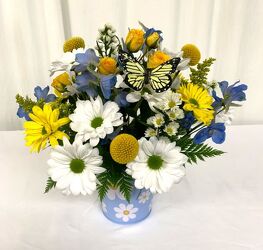 Daisy Delight from local Myrtle Beach florist, Bright & Beautiful Flowers