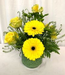 Luck of the Irish from local Myrtle Beach florist, Bright & Beautiful Flowers