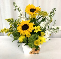 You Are My Sunshine from local Myrtle Beach florist, Bright & Beautiful Flowers