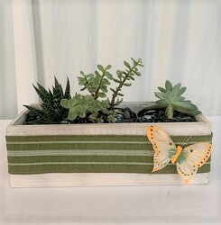 Succulent Garden Box from local Myrtle Beach florist, Bright & Beautiful Flowers