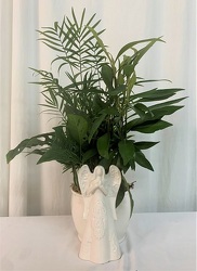 Praying Angel Plant Garden from local Myrtle Beach florist, Bright & Beautiful Flowers