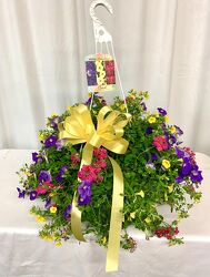Mixed Bacopa Hanging Basket from local Myrtle Beach florist, Bright & Beautiful Flowers