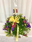 Mixed Bacopa Hanging Basket from local Myrtle Beach florist, Bright & Beautiful Flowers